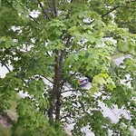 아파트 Kivistoe, 2 Km From Centrum, Free Wifi And Parking, No Smoking, Allergy- Friendly Jyväskylä