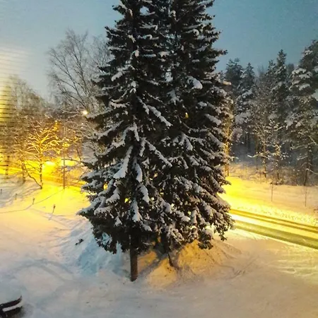 公寓 Kivistoe, 2 Km From Centrum, Free Wifi And Parking, No Smoking, Non-allergenic Jyväskylä