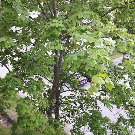 Apartment Kivistoe, 2 Km From Centrum, Free Wifi And Parking, No Smoking, Allergenes Jyvaskyla