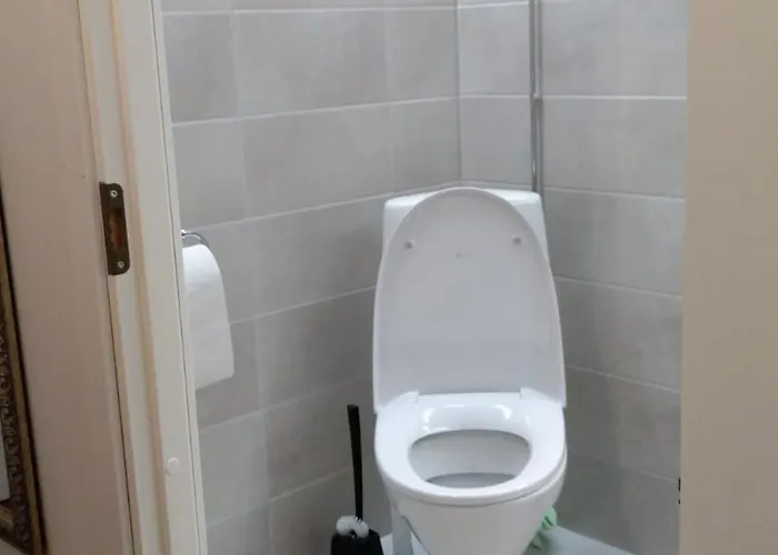 Kivistoe, 2 Km From Centrum, Free Wifi And Parking, No Smoking, Allergenes 公寓 Jyväskylä