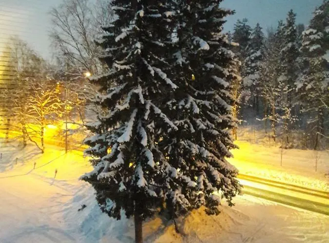 公寓 Kivistoe, 2 Km From Centrum, Free Wifi And Parking, No Smoking, Allergenes Jyväskylä