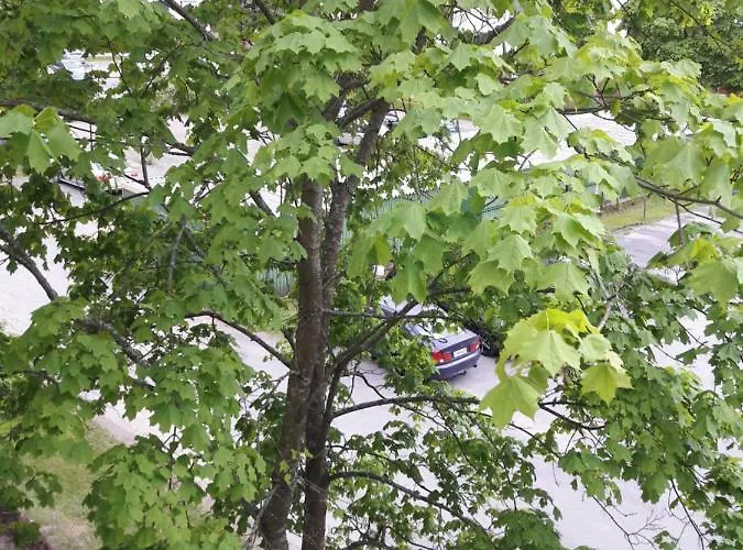 公寓 Kivistoe, 2 Km From Centrum, Free Wifi And Parking, No Smoking, Allergenes Jyväskylä