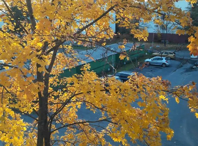 公寓 Kivistoe, 2 Km From Centrum, Free Wifi And Parking, No Smoking, Allergenes *